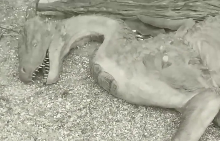 Photo truquée de dragon