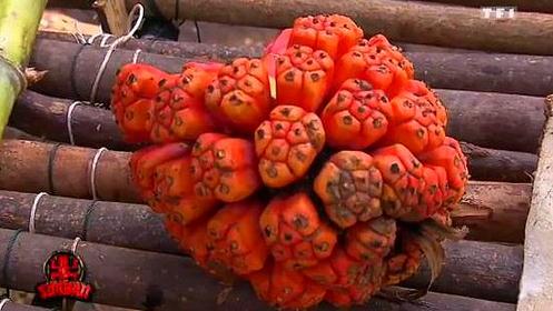 Image de nourriture surprenante